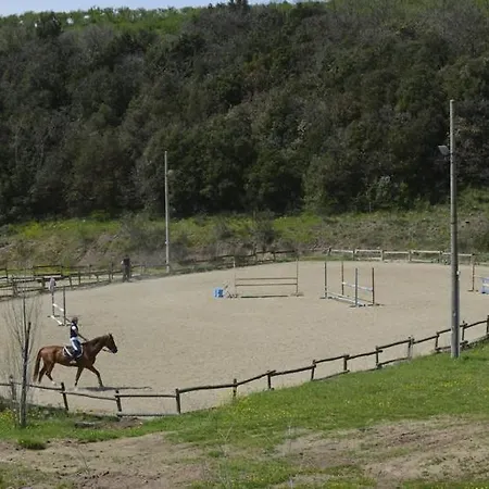 Gospodarstwo agroturystyczne L'elmo *